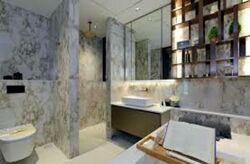Irwell Hill Residences (D9), Apartment #496345151